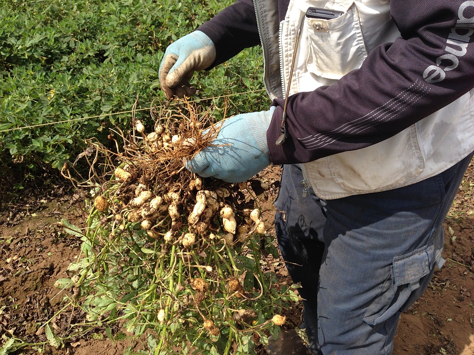 ��l�C���Ԑ��x