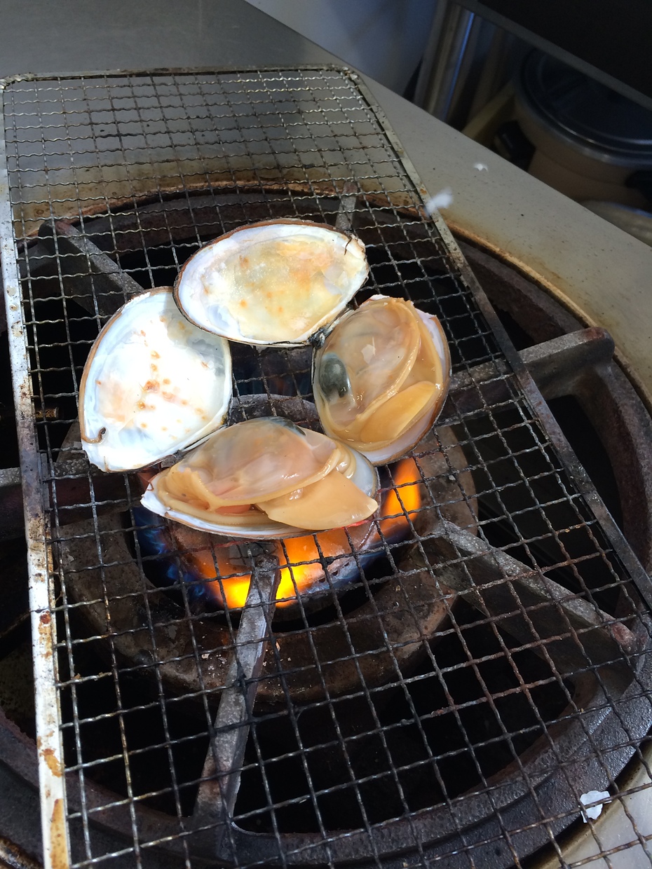 �V���j���[���H��